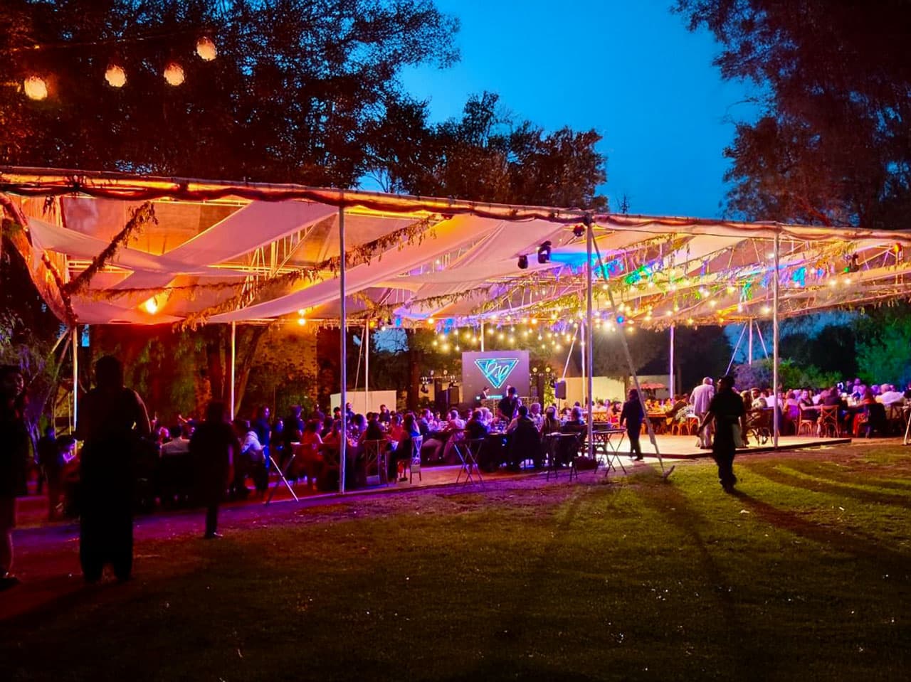 Montaje de boda con iluminación especial